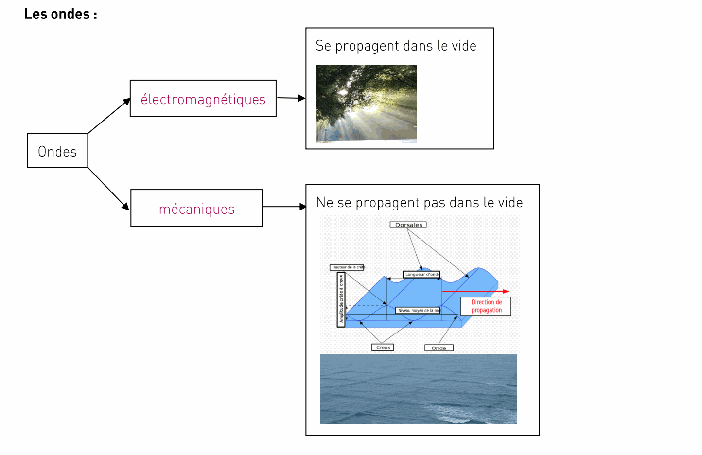 Odoo CMS - une grande photo
