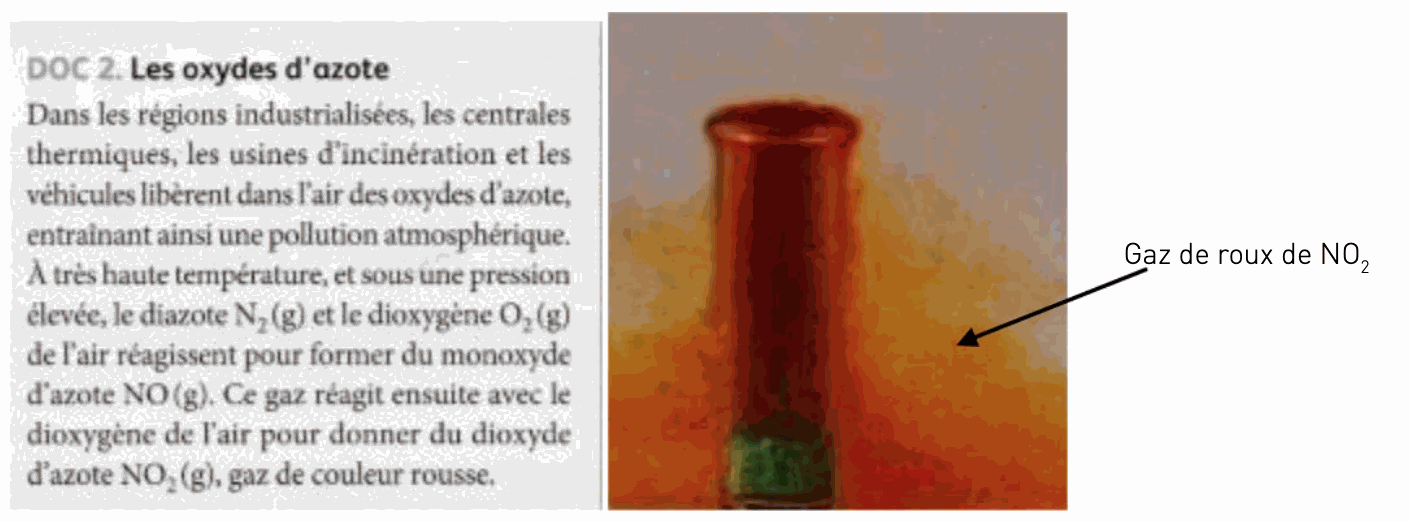 Odoo CMS - une grande photo