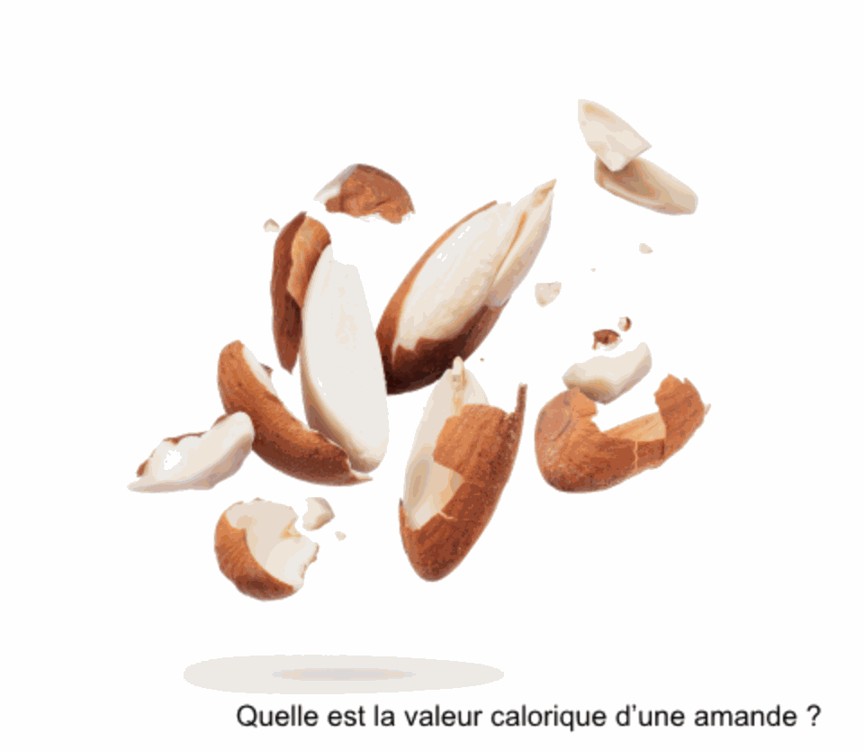 Odoo image et bloc de texte